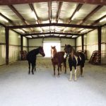 3 horses inside barn or stable - Equine Interaction Experience - English Mountain Recovery