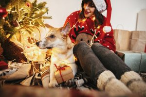 young woman with her Jack Russell Terrier on the floor near a lit Christmas tree - gratitude