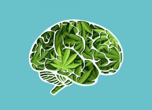 illustration of brain made of marijuana leaves - marijuana addiction